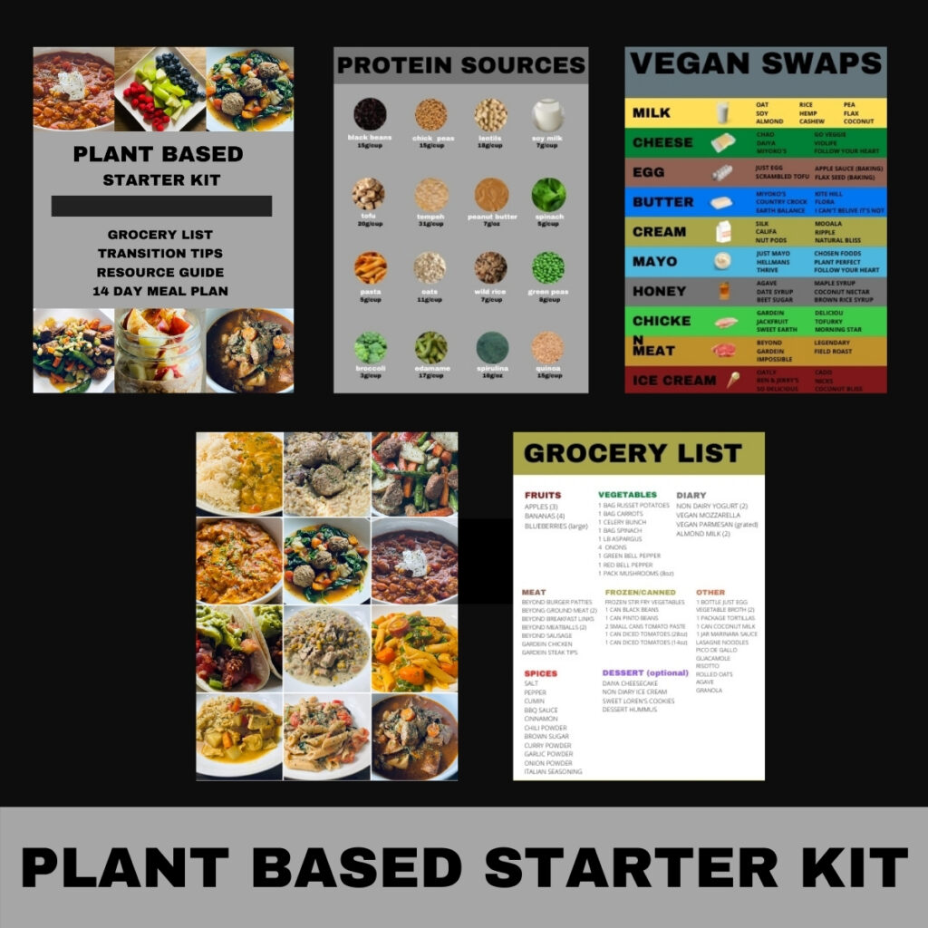 VEGAN IN THE CITY ANNAPOLIS jimmy vegan